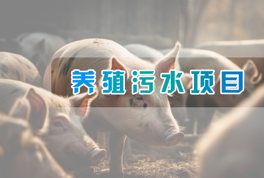 養(yǎng)殖污水項目
