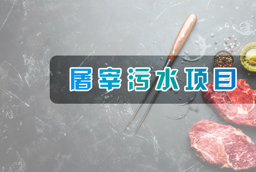 屠宰污水項目